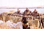 Jason. Mark, Brooks and I waiting for the next FLOCK !!